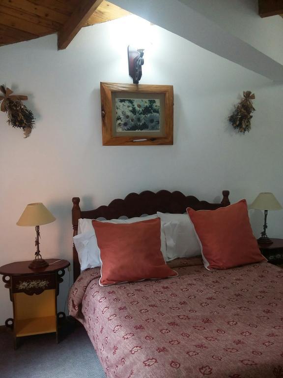 Apart De La Plaza Villa La Angostura Luaran gambar