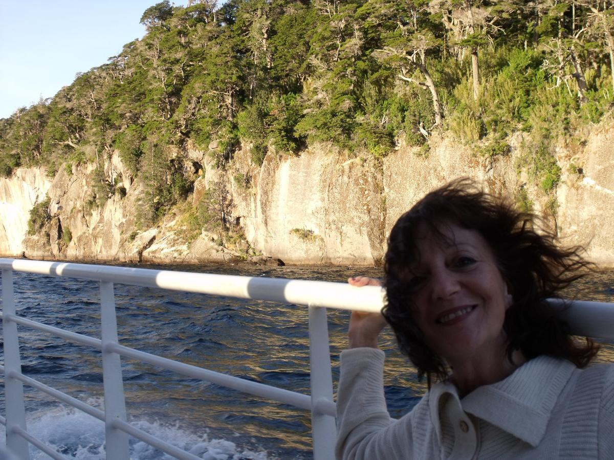 Apart De La Plaza Villa La Angostura Luaran gambar